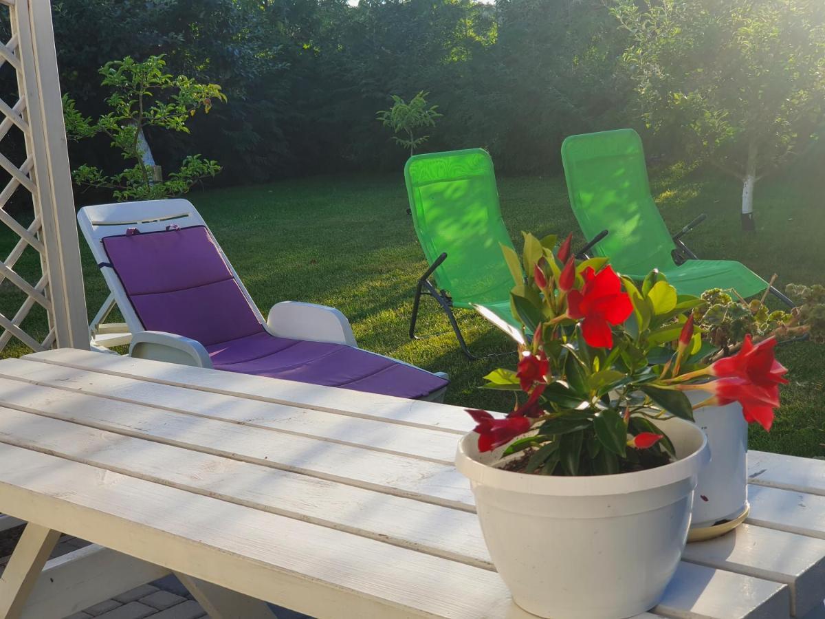 Apartament nad jeziorem Kołczewo Zewnętrze zdjęcie
